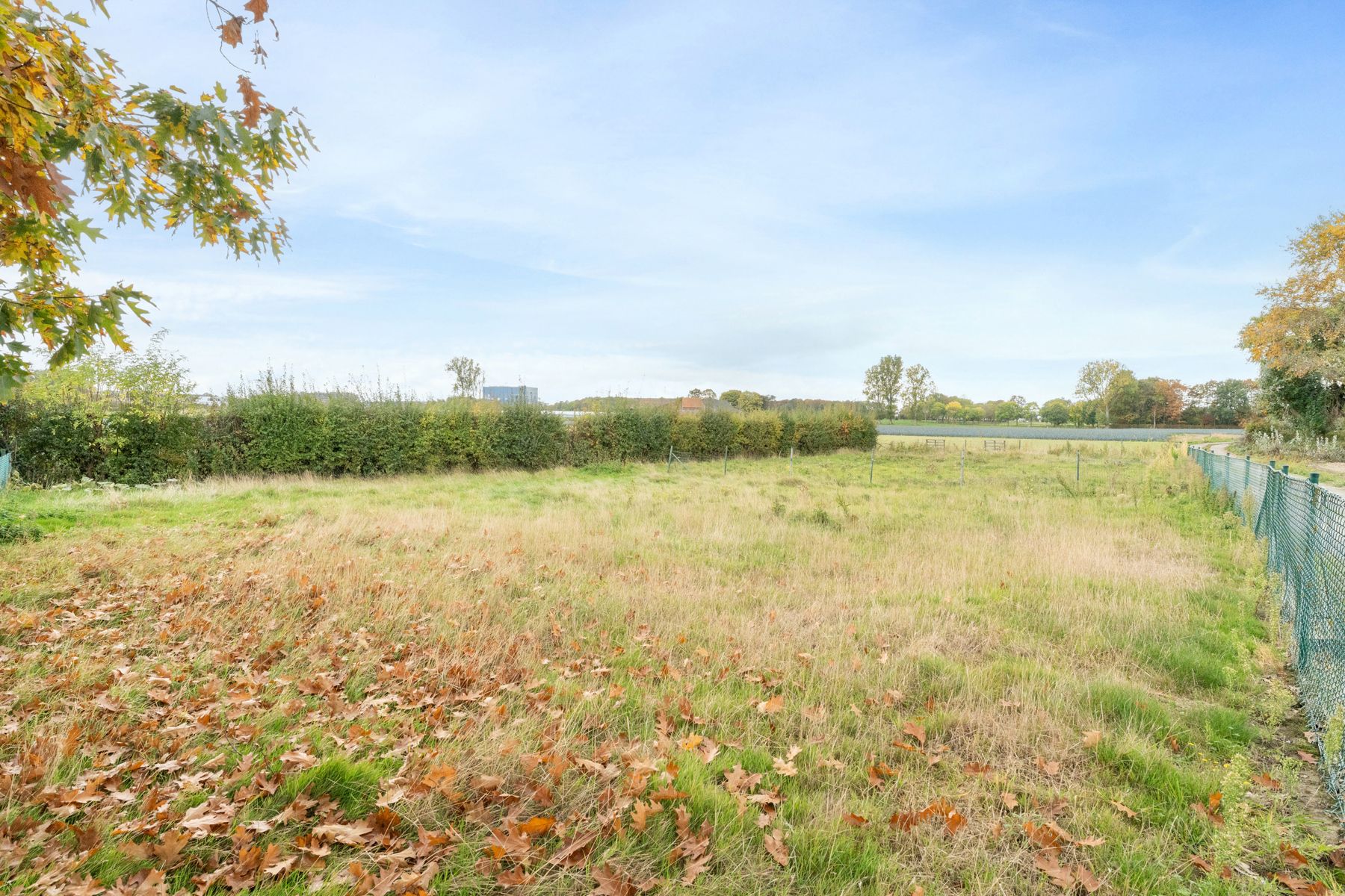 Landhuis met 2 magazijnen, rustig gelegen op 5.388 m² foto 35