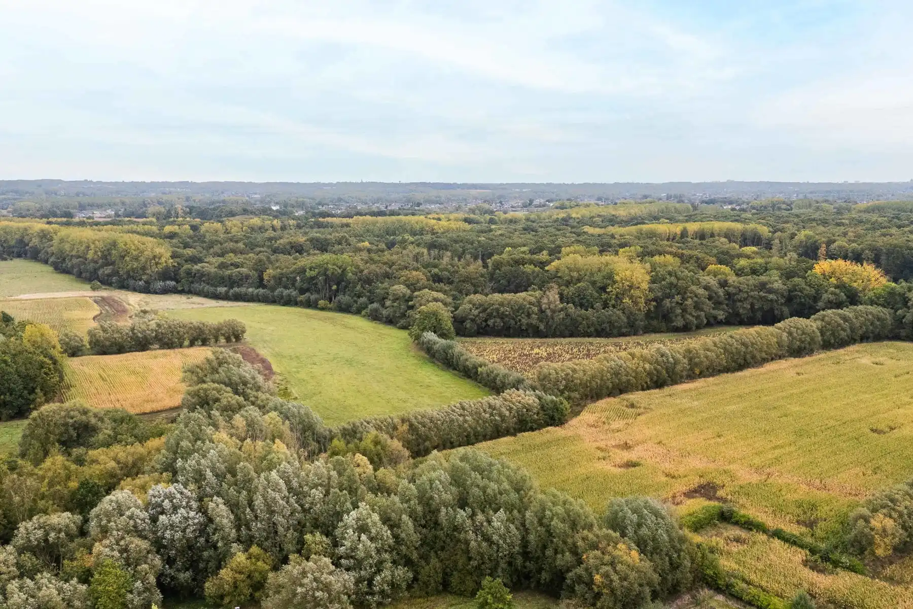 Grond te koop foto 9