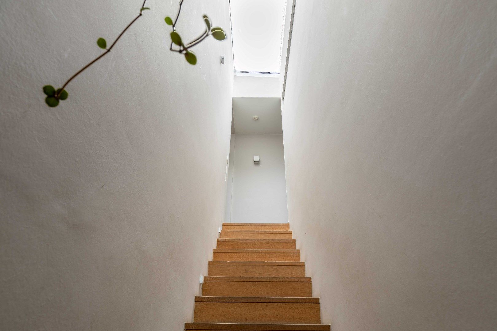 Recente en uitgebouwde villa met vijf kamers en/of praktijkruimte omgeven door het groen tussen Brugge en Oostkamp! foto 17