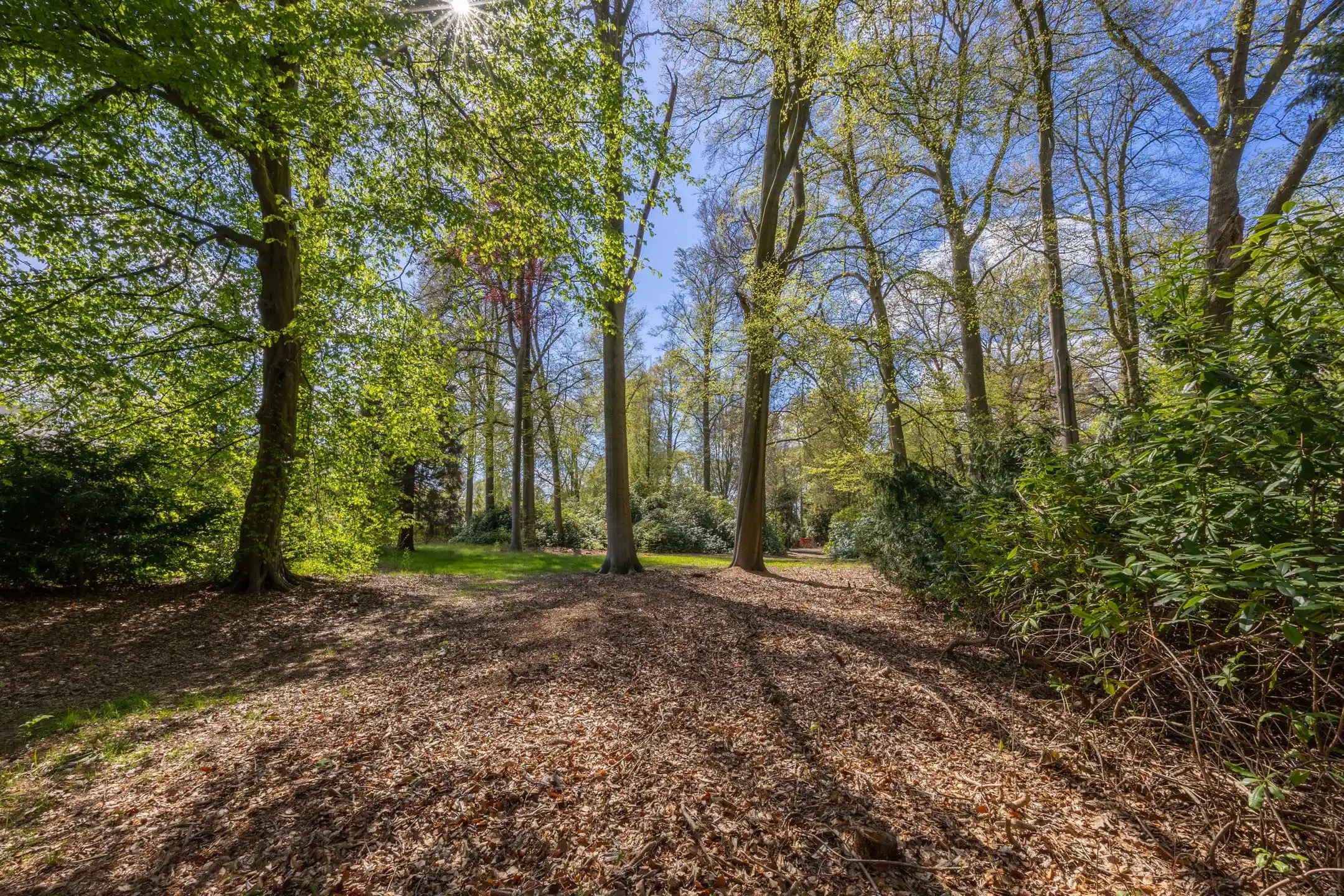 Exceptionele bouwgrond van 12.465 m² in Vriesdonk foto 15