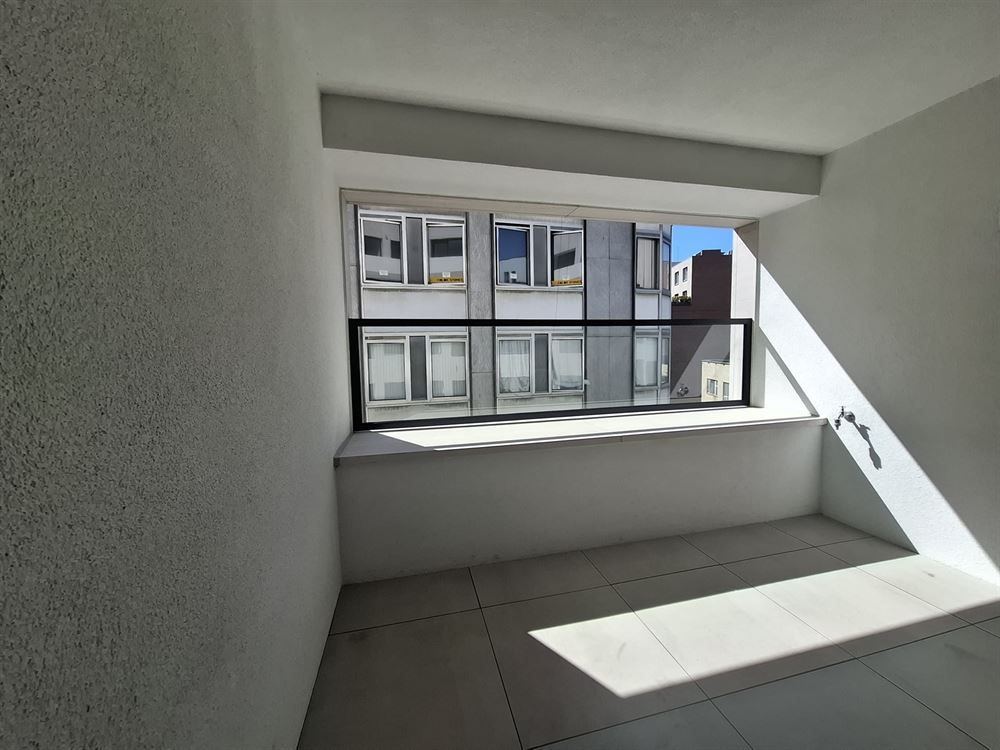 Gerenoveerd appartement | Antwerpen-Centrum foto 2