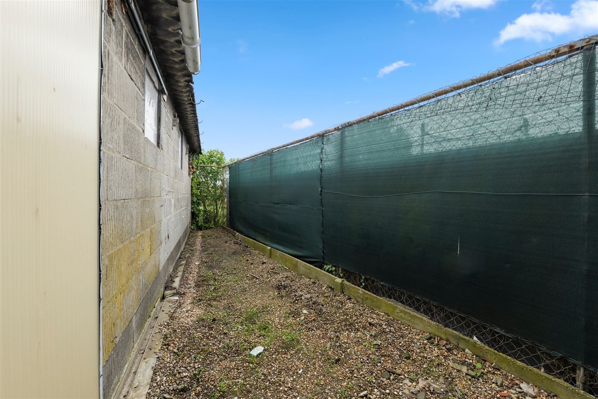 OP TE FRISSEN GEZINSWONING MET GARAGE EN STALLEN VAN MEER DAN 200M² OP EEN TOPLOCATIE IN ZEPPEREN foto 21