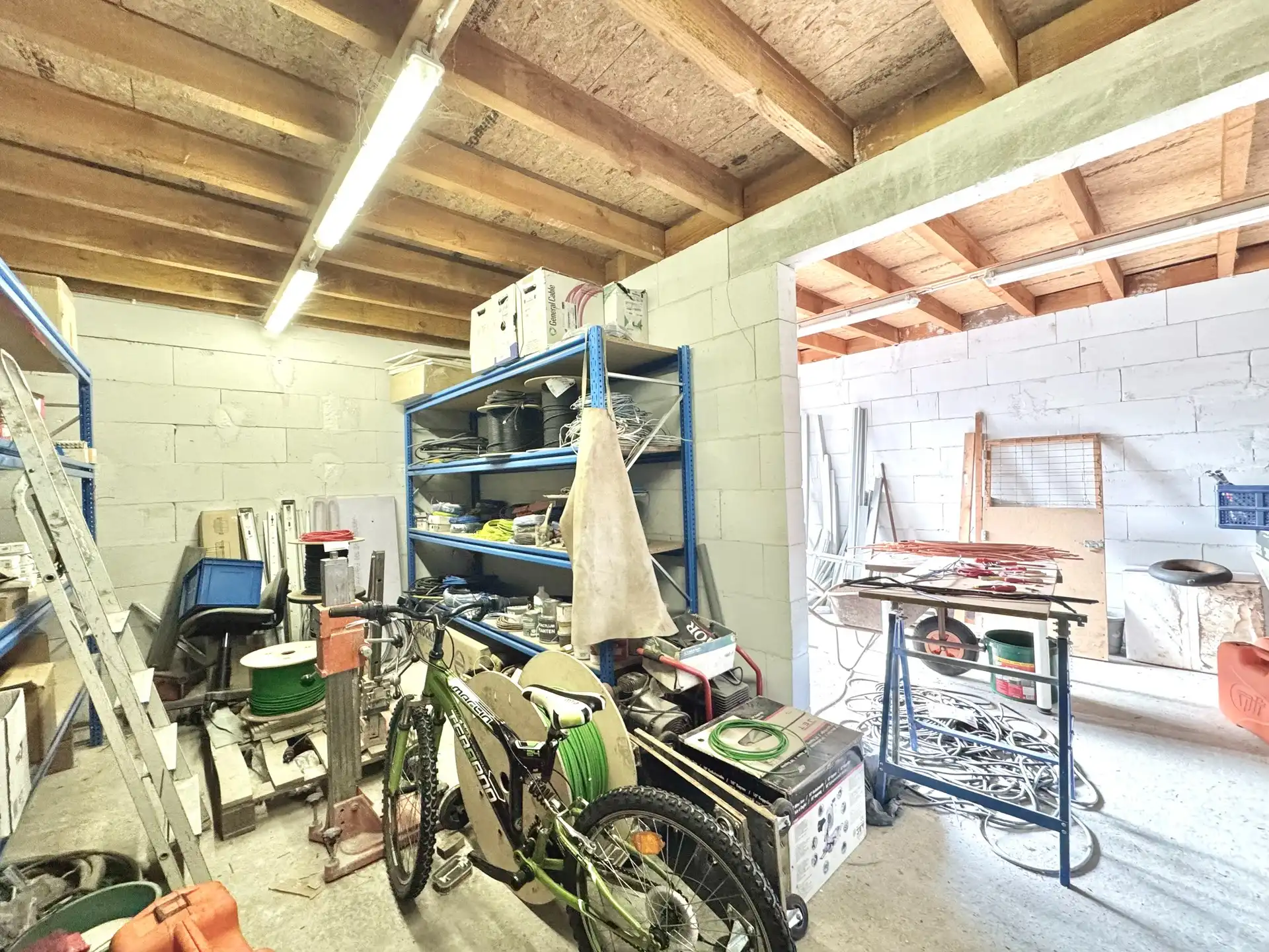 ENERGIEZUINIG GEBOUW MET 2 GROTE GARAGES - 553 M² foto 19