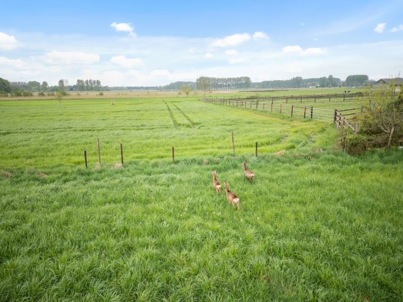 LANDBouwgrond  8462 grondopp - GEEN pacht !!! foto 3