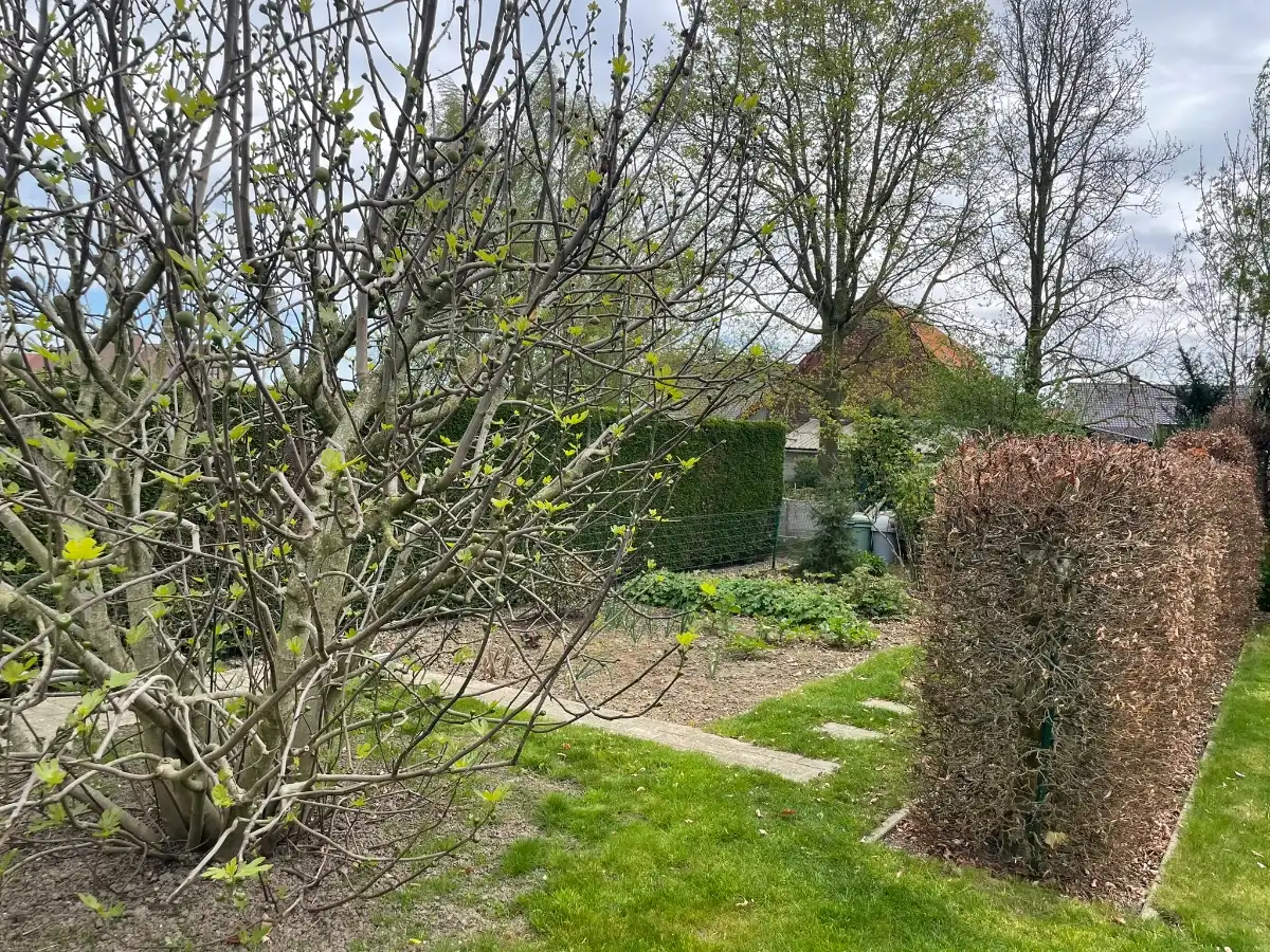 VILLA op toplocatie foto 76