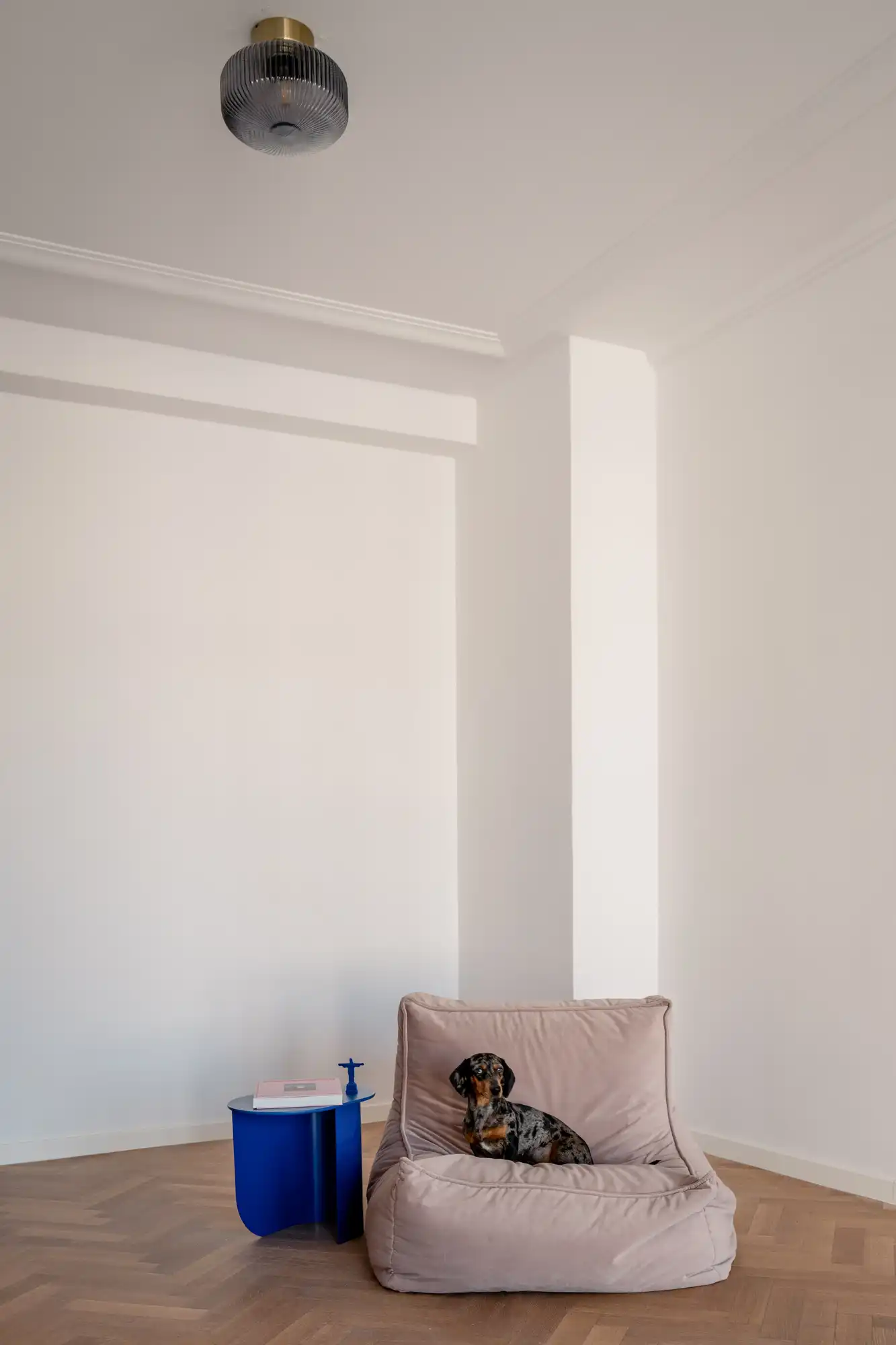 Iets met seks, een dwergteckel en La Dada aan het Stadspark foto 3