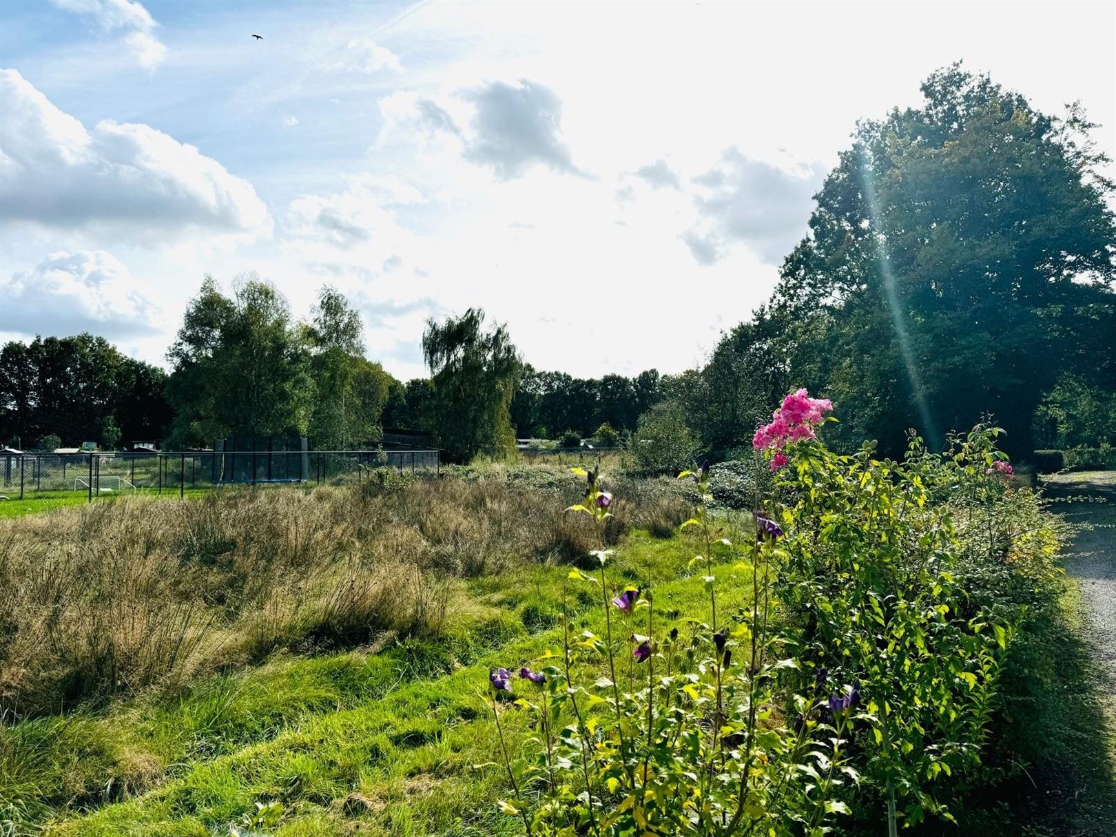 Nieuwbouw BEN woning aan natuurgebied FORT VAN MERKSEM  foto 12