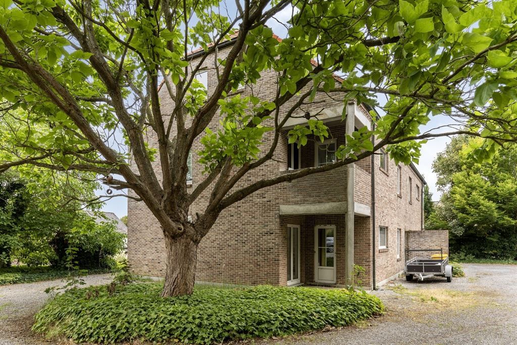 Twee ruime, te renoveren, woningen te koop!  foto 10