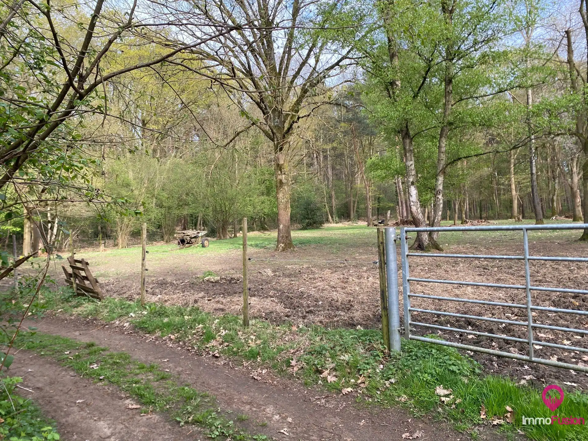 Landelijke weide voor dieren- en natuurliefhebbers! foto 7