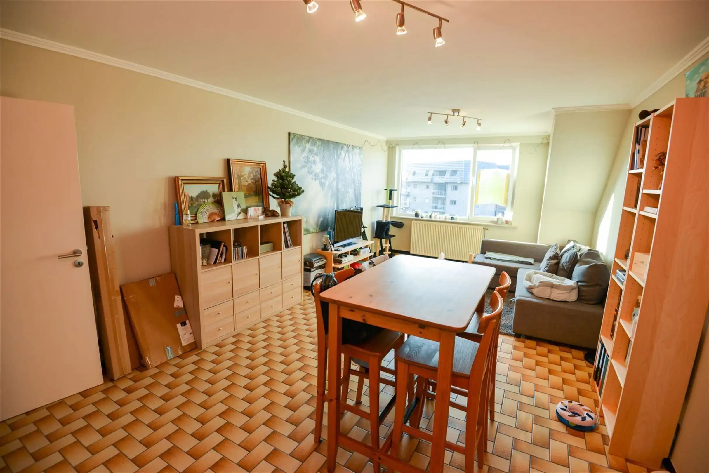 appartement foto 5