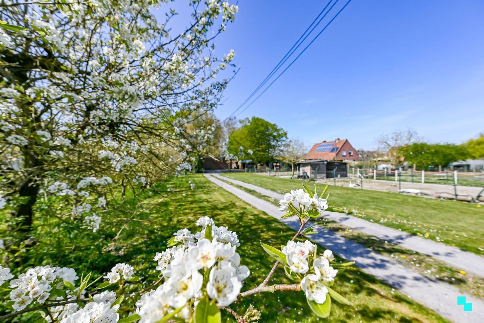Prachtige villa te koop in Sint-Eloois-Winkel foto 45