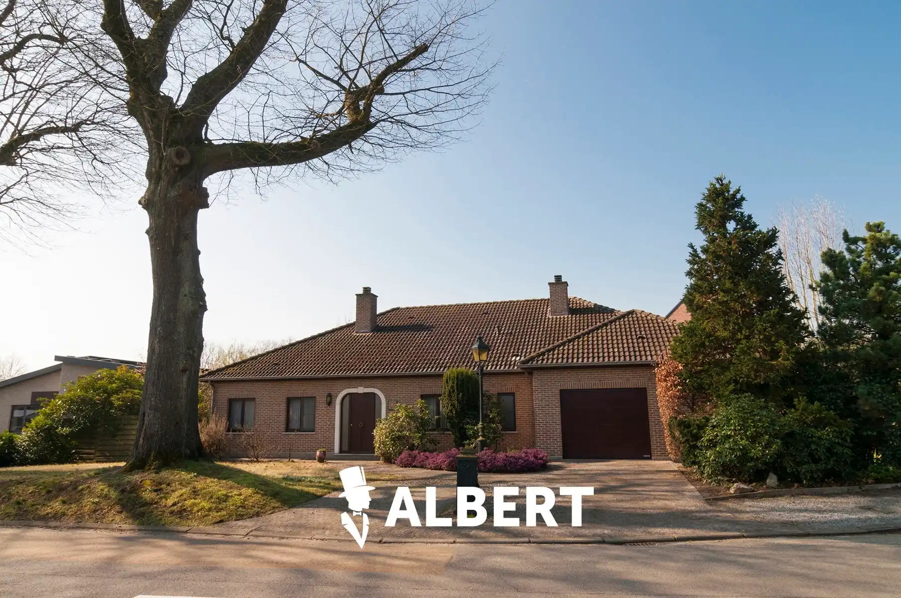 Hoofdfoto van de publicatie: Ruimte, licht en gezelligheid: alles gelijkvloers! Een thuis