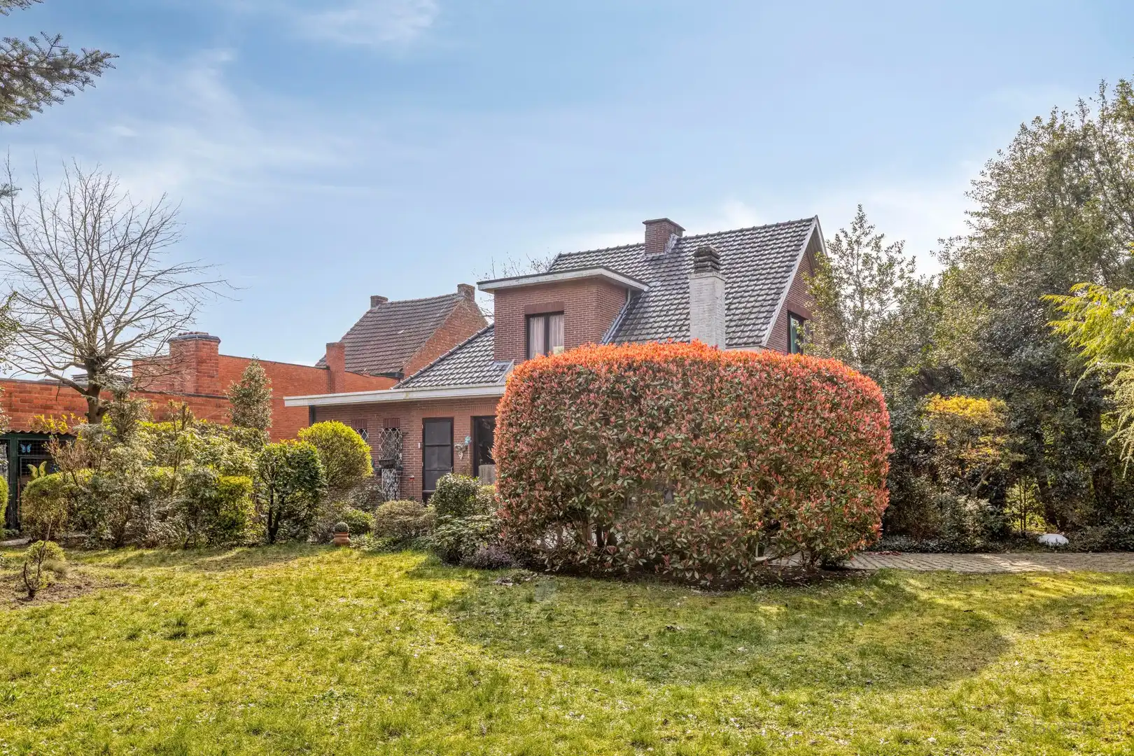 Projectgrond met woning te koop in Schoot, Tessenderlo foto 5