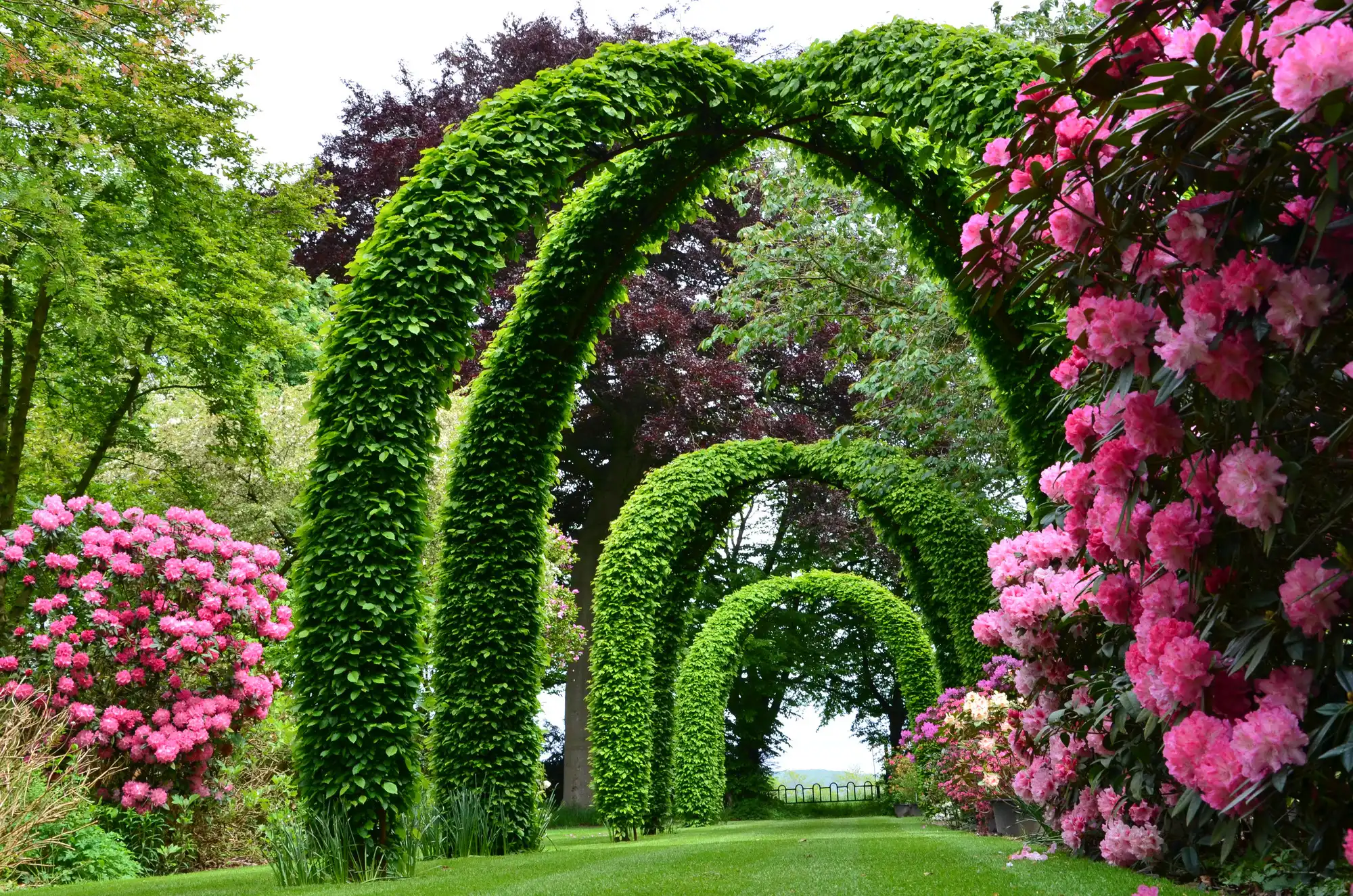 Zeer goed onderhouden manoir met een  unieke parktuin foto 24