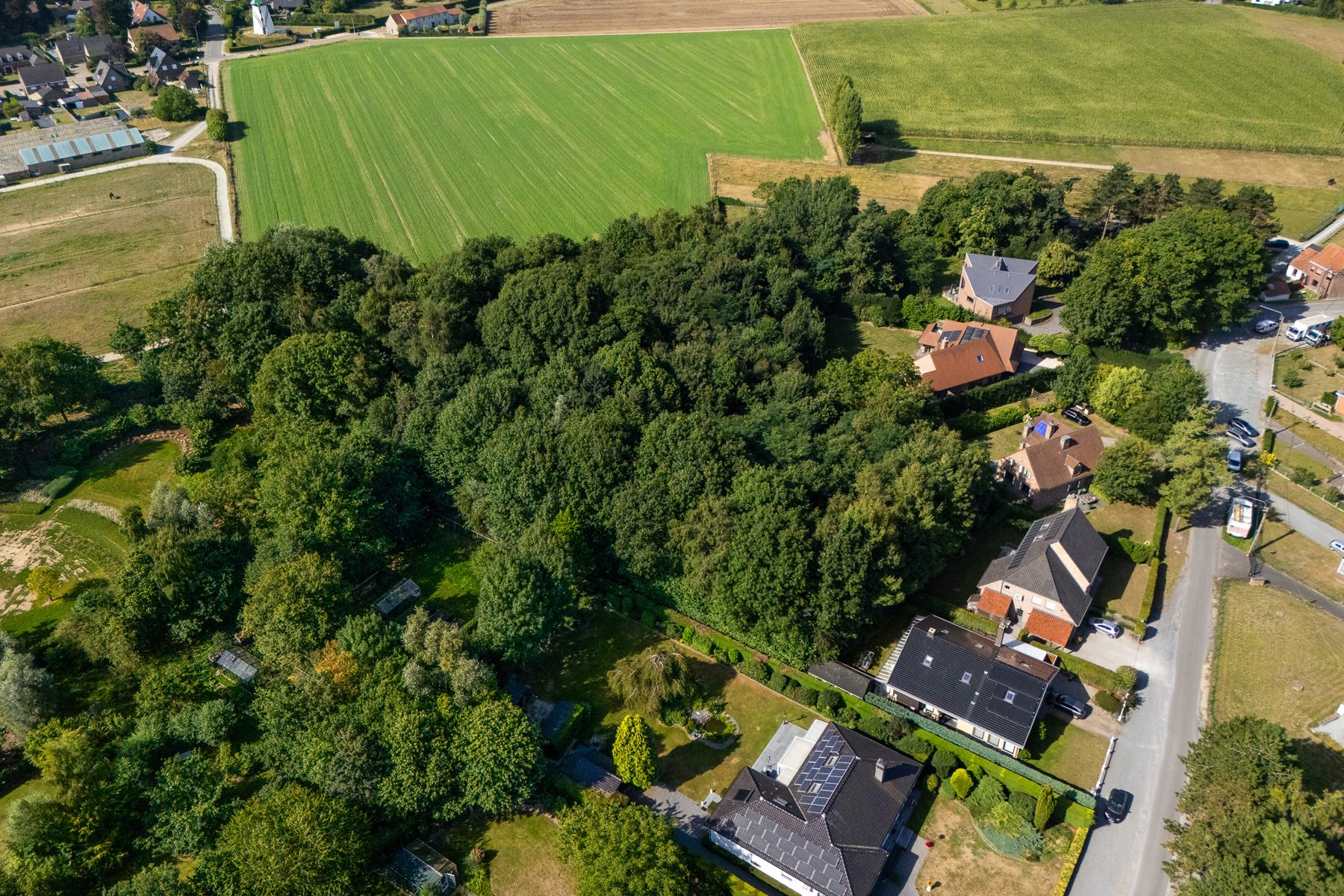 Unieke bouwgrond in 2de bouwlijn op topligging foto 7