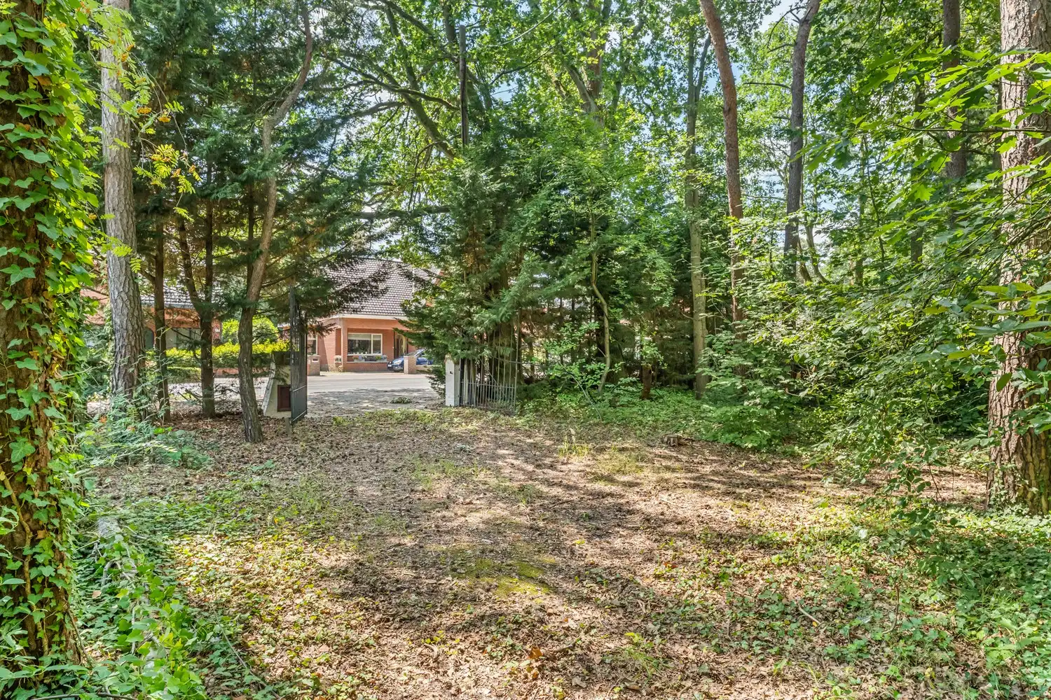 Unieke boswoning op een prachtig groen perceel van 1.454 m² foto 17