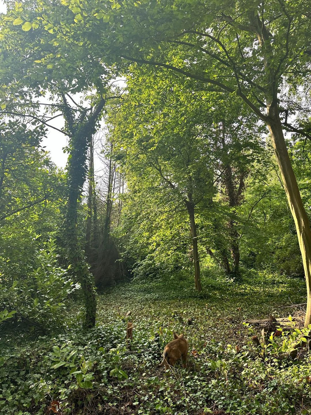 Villa te koop foto 15