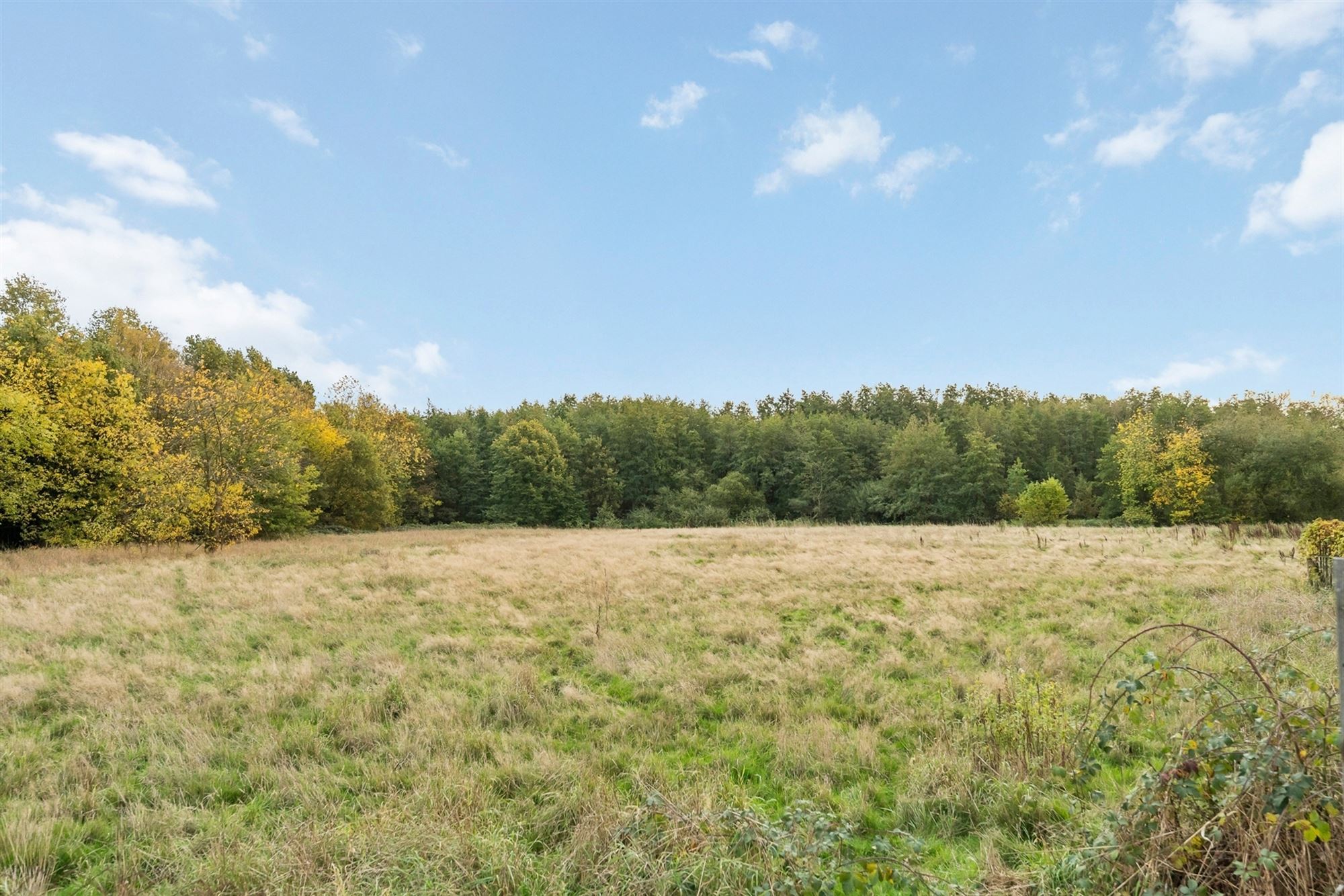 UITERST KNAP GERENOVEERDE WONING MET 3-4 SLAAPKAMERS OP EEN PERCEEL VAN 12A48CA TE BEVERLO foto 28