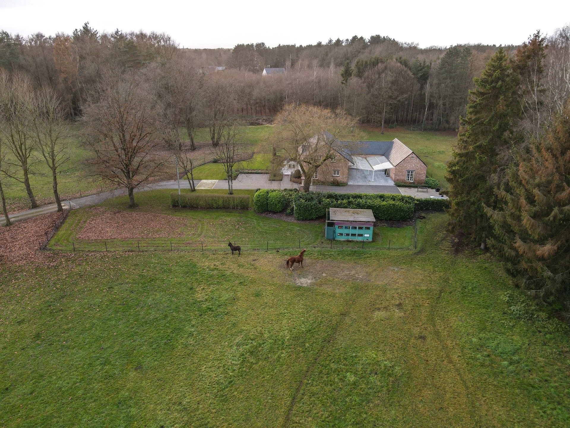 UNIEK LANDHUIS MET TOPLIGGING OP 2,55 HECTARE foto 16