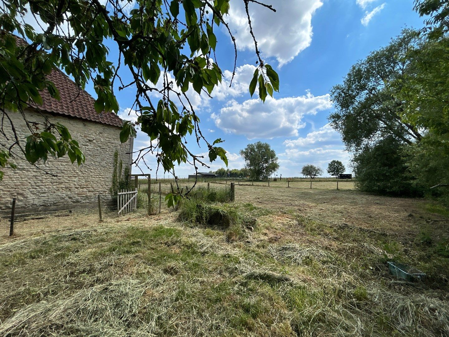 Hof Candriesche – Droomhoeve vol karakter in hartje natuur foto 13