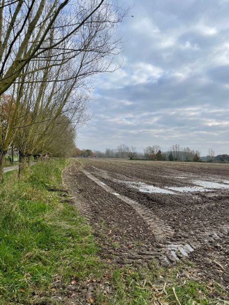 Prachtig gelegen perceel landbouwgrond 71515 m² foto 2