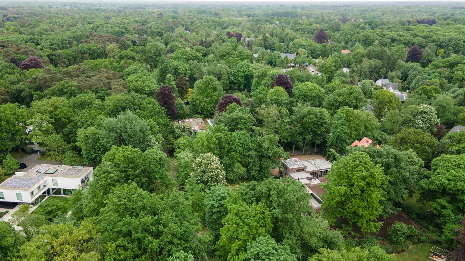 Bouwgrond van 2076 m² op topligging foto 6