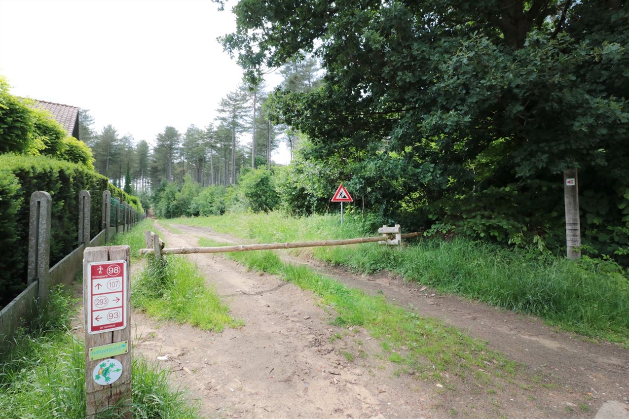 Toplocatie, op bijna 11a tegen natuurgebied foto 32