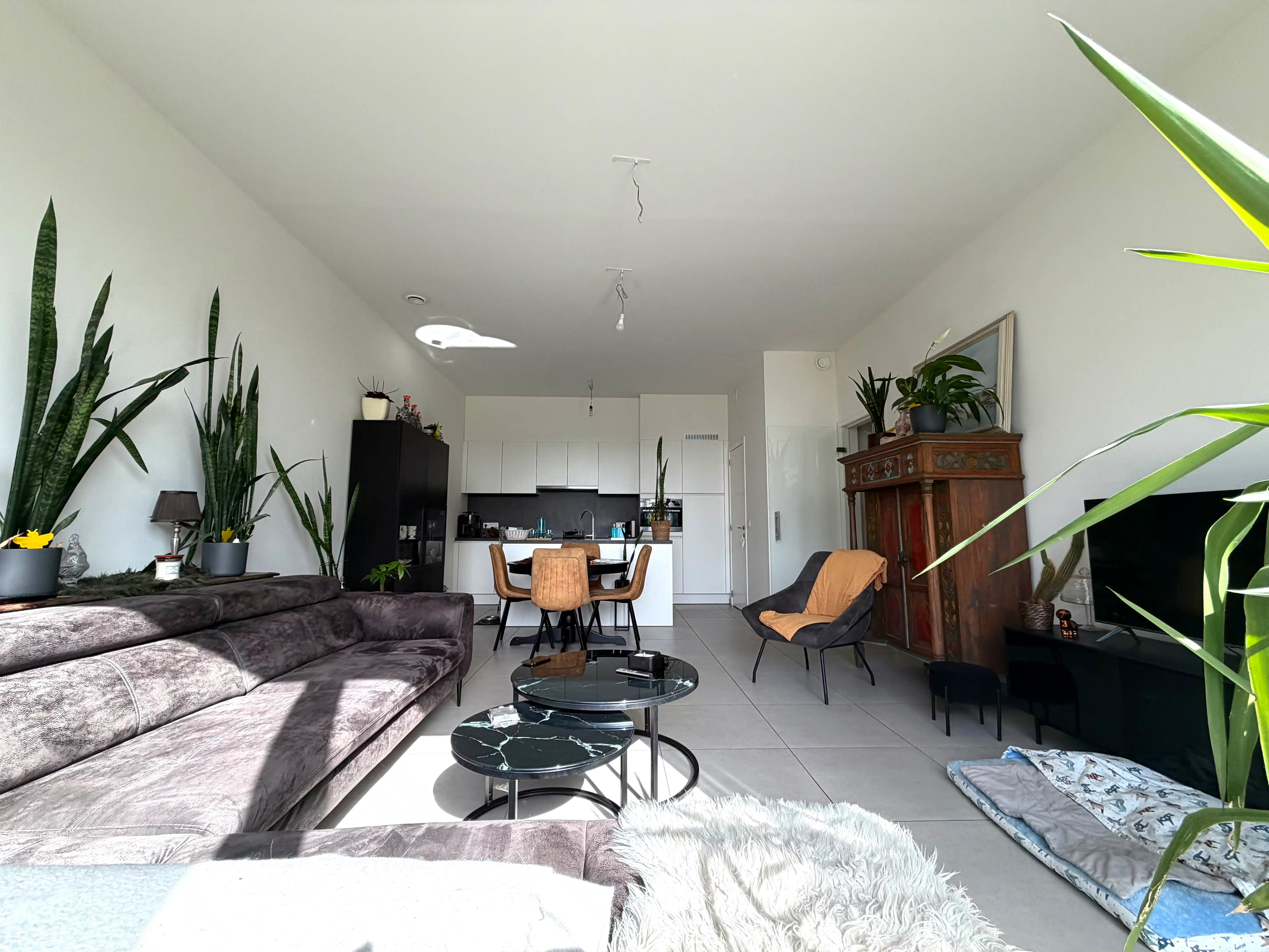 Recent appartement met twee slaapkamers te huur in Evergem foto 3