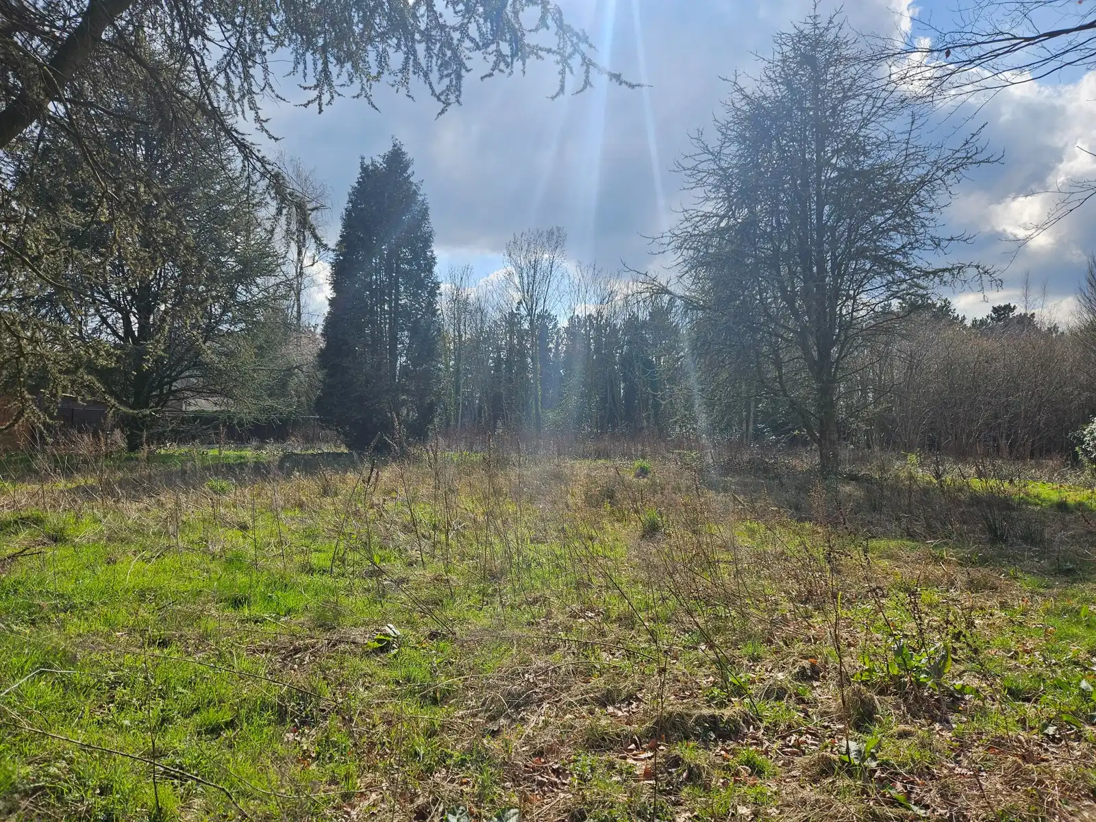 Bouwgrond voor halfopen bebouwing: 1.241 m² foto 2