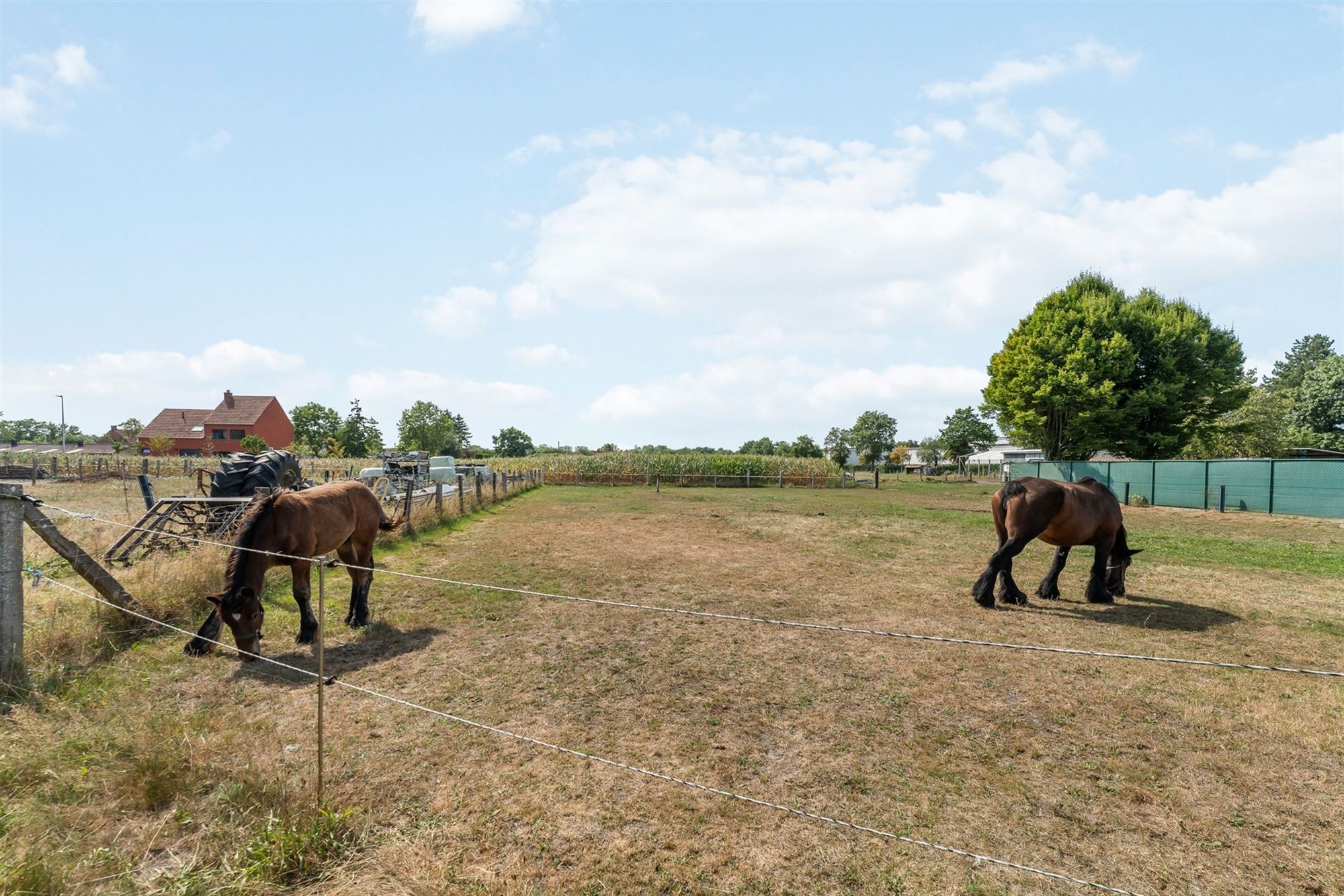 WONING OP 3941M2 MET ENORM POTENTIEEL foto 31