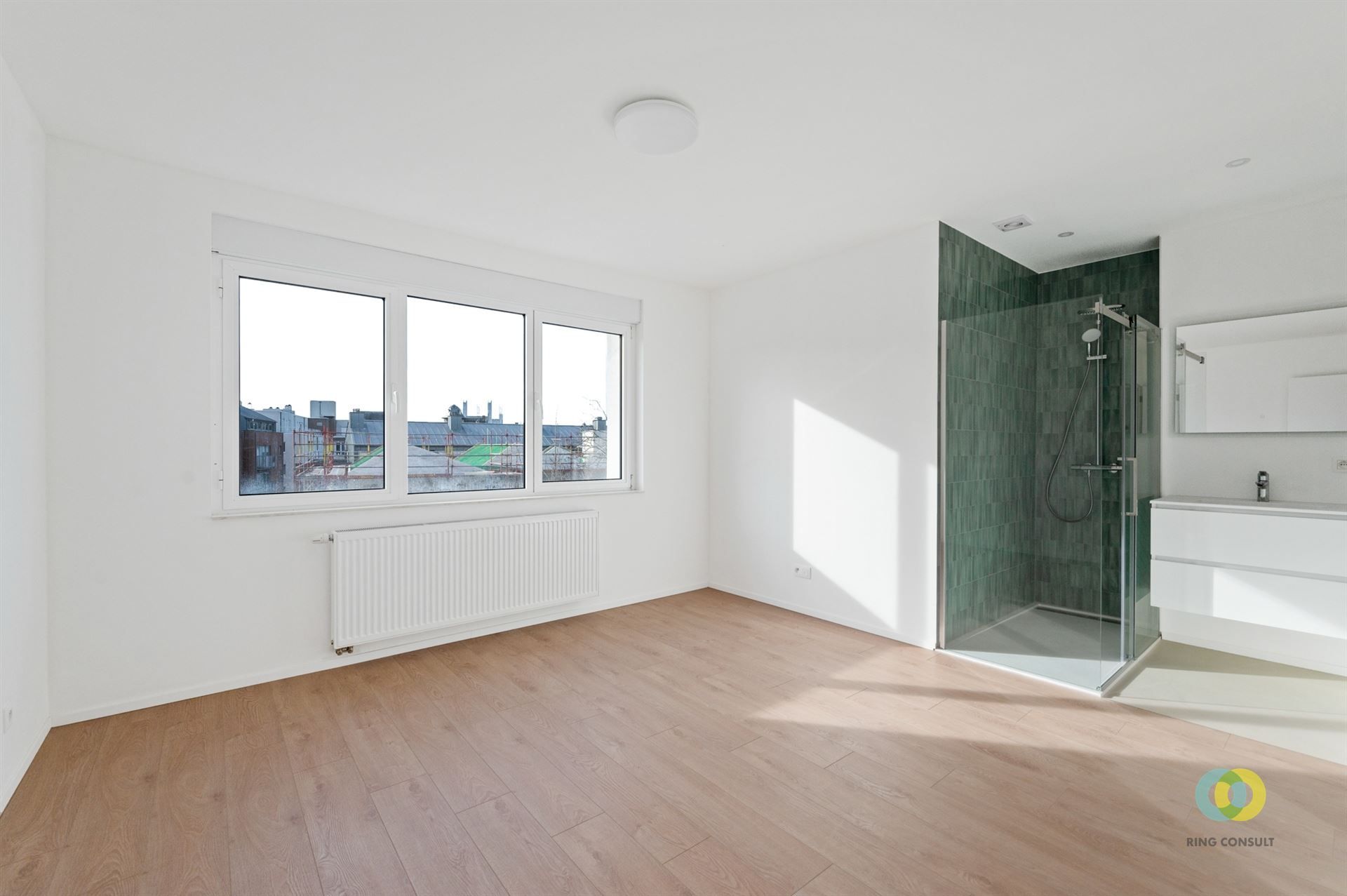 Gerenoveerd appartement met twee slaapkamers foto 9