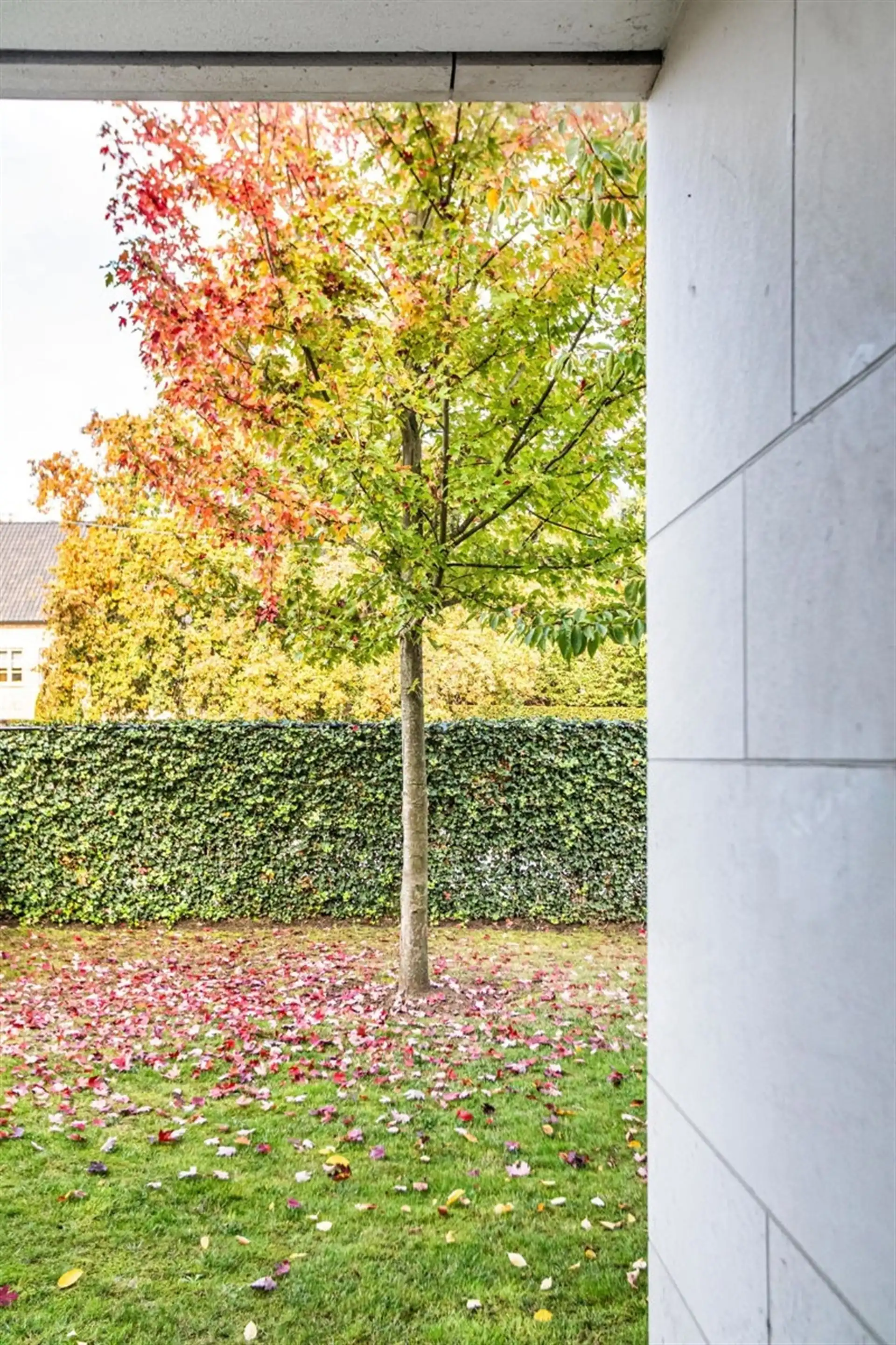Lichtrijk gelijkvloers appartement met terras en tuinzicht foto 20