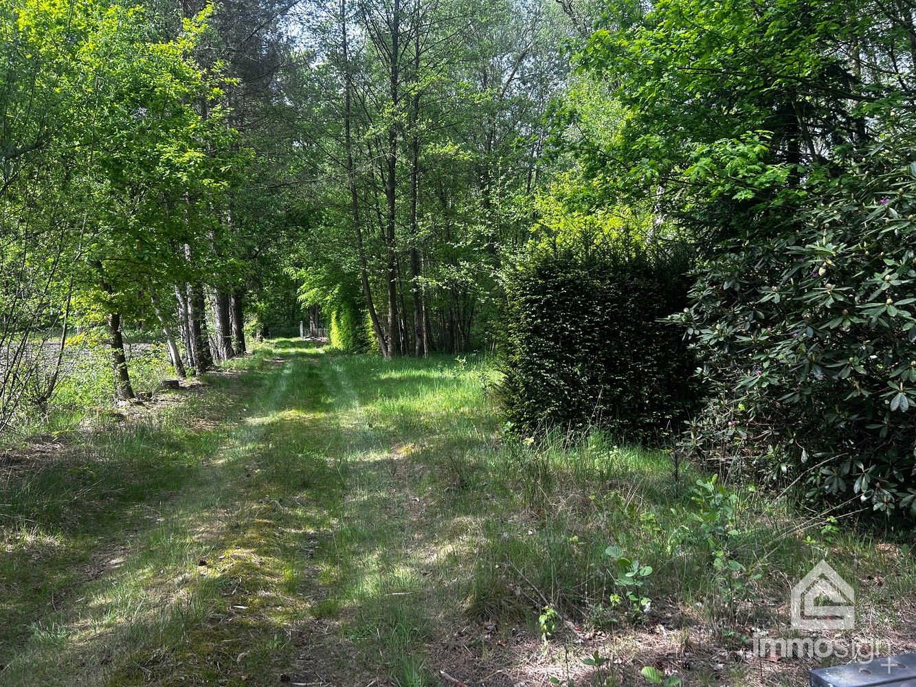 Uniek stukje natuurgebied van 1.470 m² gelegen te Hamont-Achel! foto 13