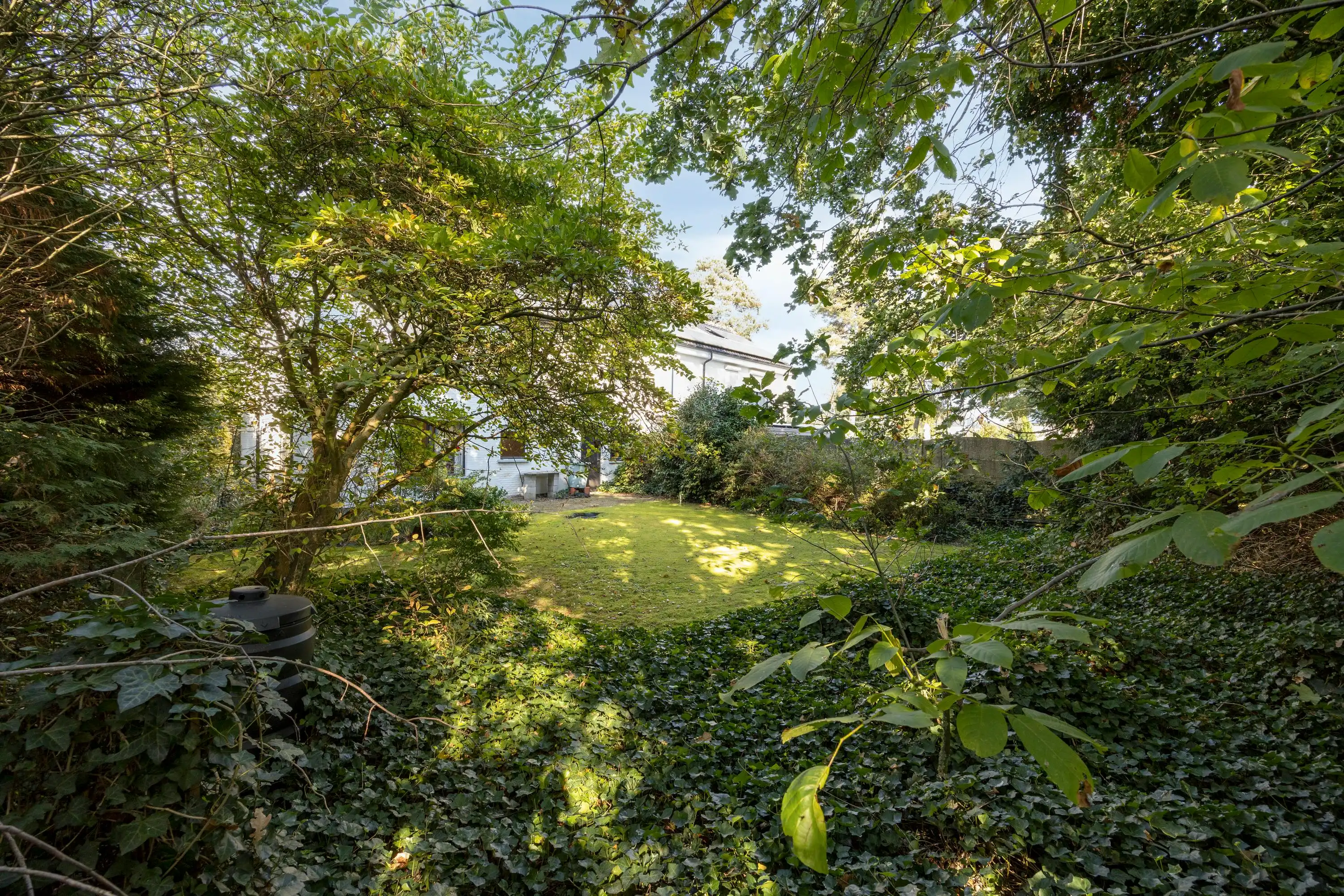 Goed gelegen, te renoveren huis te koop in Lichtaart foto 25