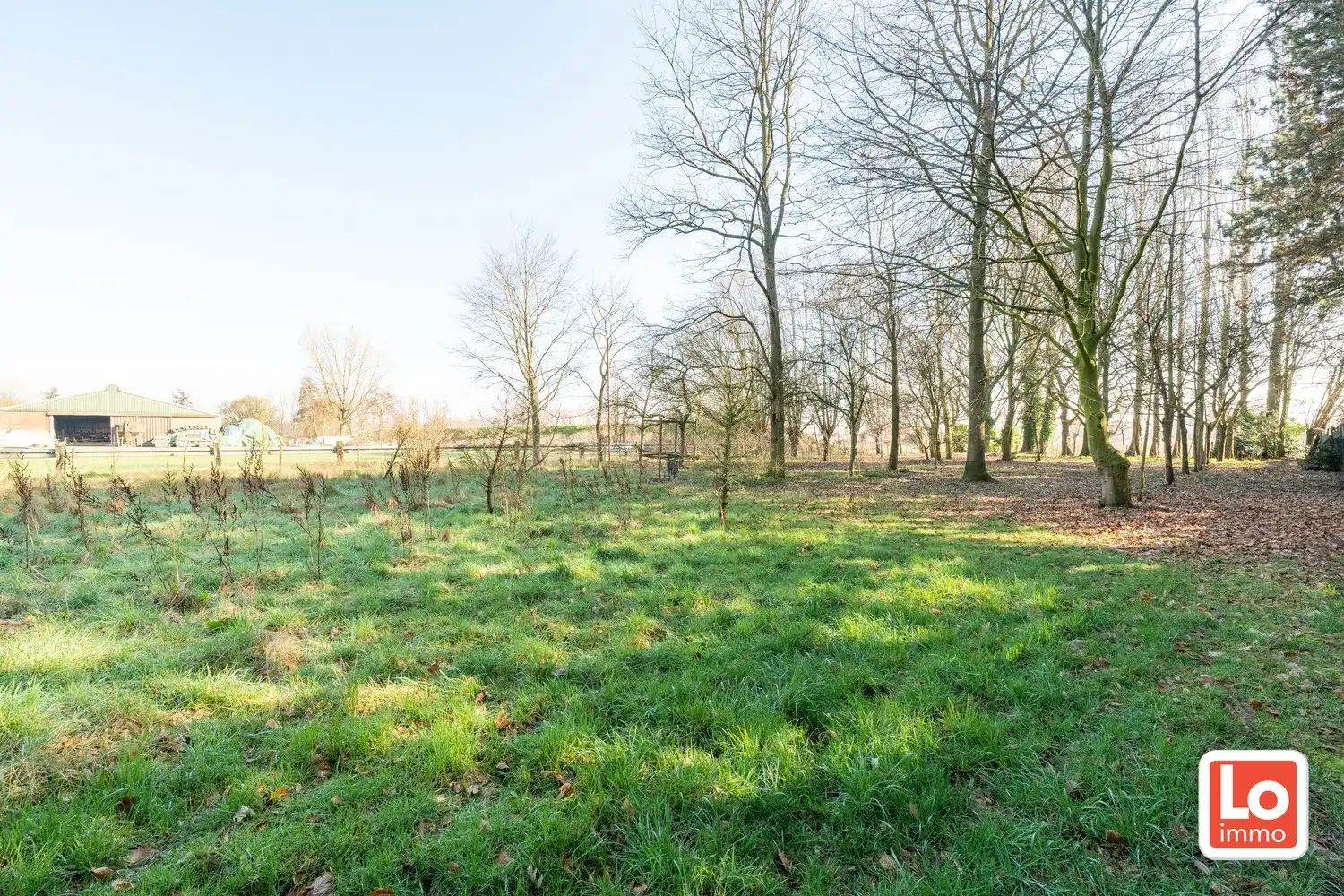Projectgrond en/of totaalrenovatie op een rustige en landelijke ligging tussen Beervelde en Destelbergen! foto 5