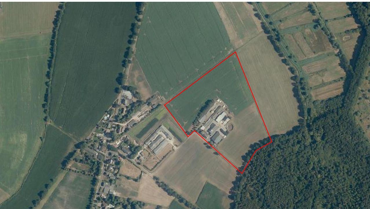 Hoeve met 2 woningen en stallen te koop te Hamont-Achel op 6,5 à 14 ha foto 14