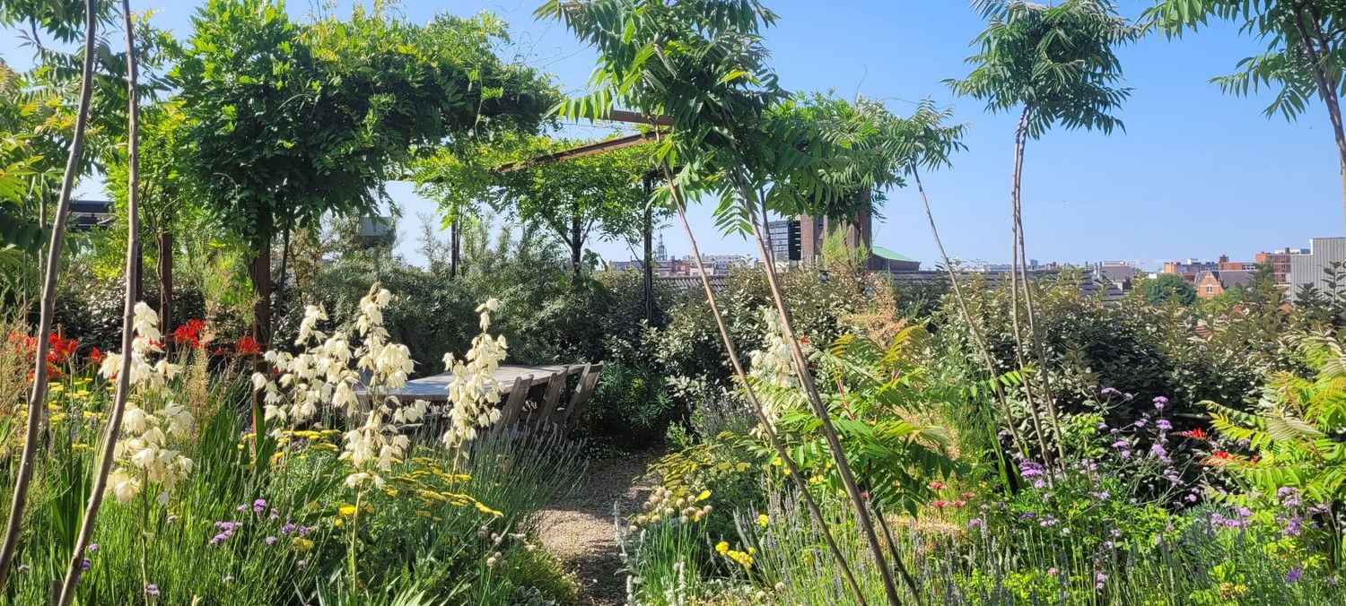 Uitzonderlijke loft 200m² + aangelegde daktuin, terras en 2 optionele garages in rustig, groen woonerf op de grens Borgerhout/Antwerpen foto 37