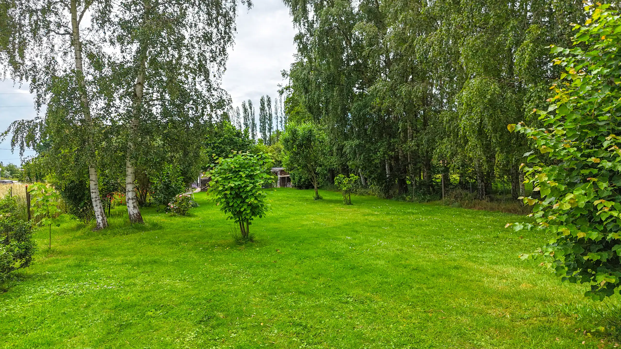 Authentieke hoeve met perceel van 68are en 2slpks! foto 45