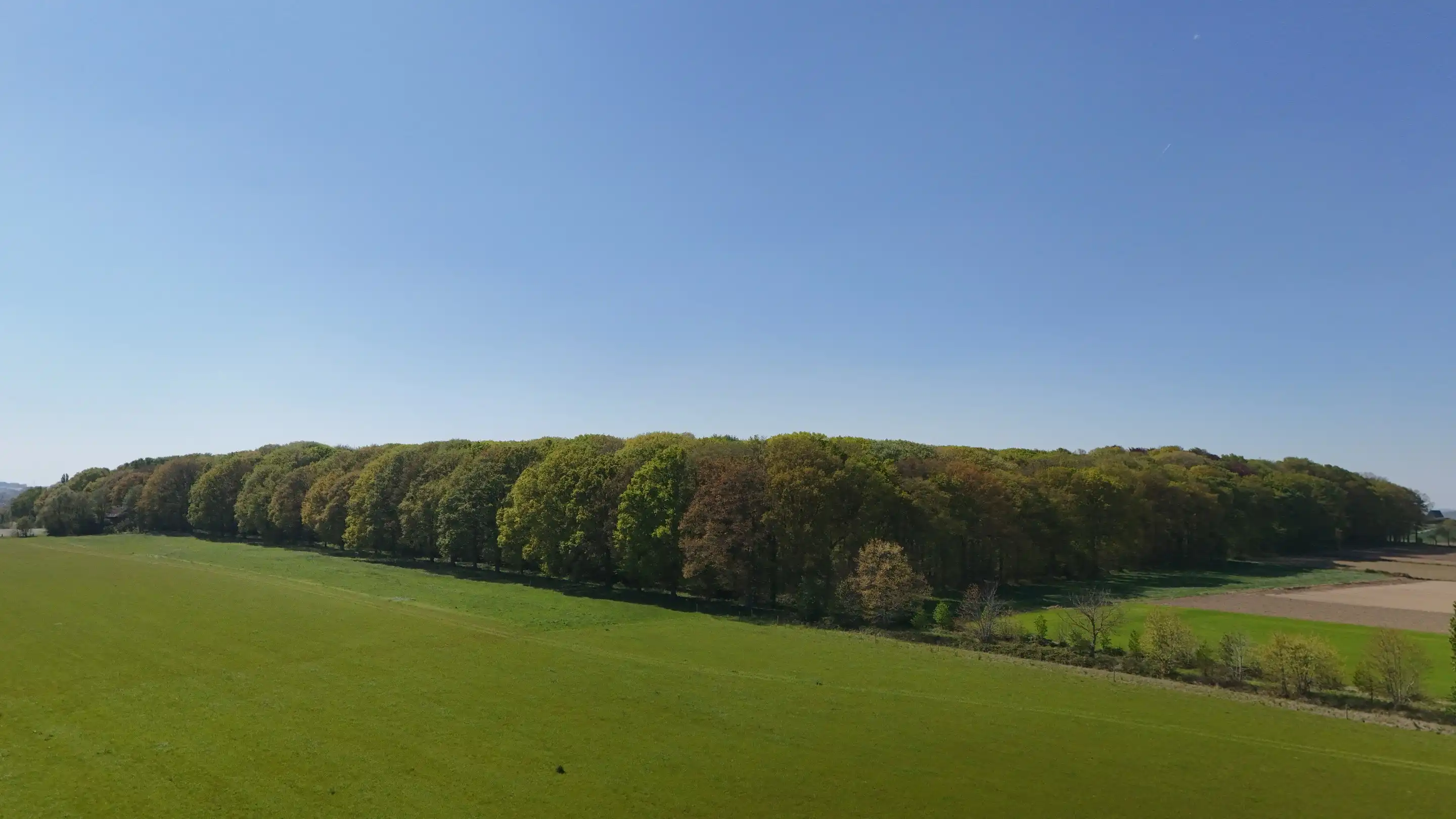 Een hectare groen, klaar voor jouw toekomst (zonevreemd!) foto 8