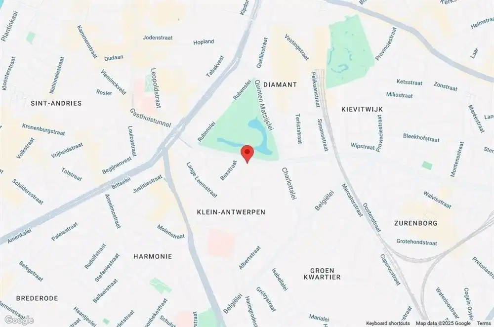 Ruim appartement met zicht op Stadspark foto 27