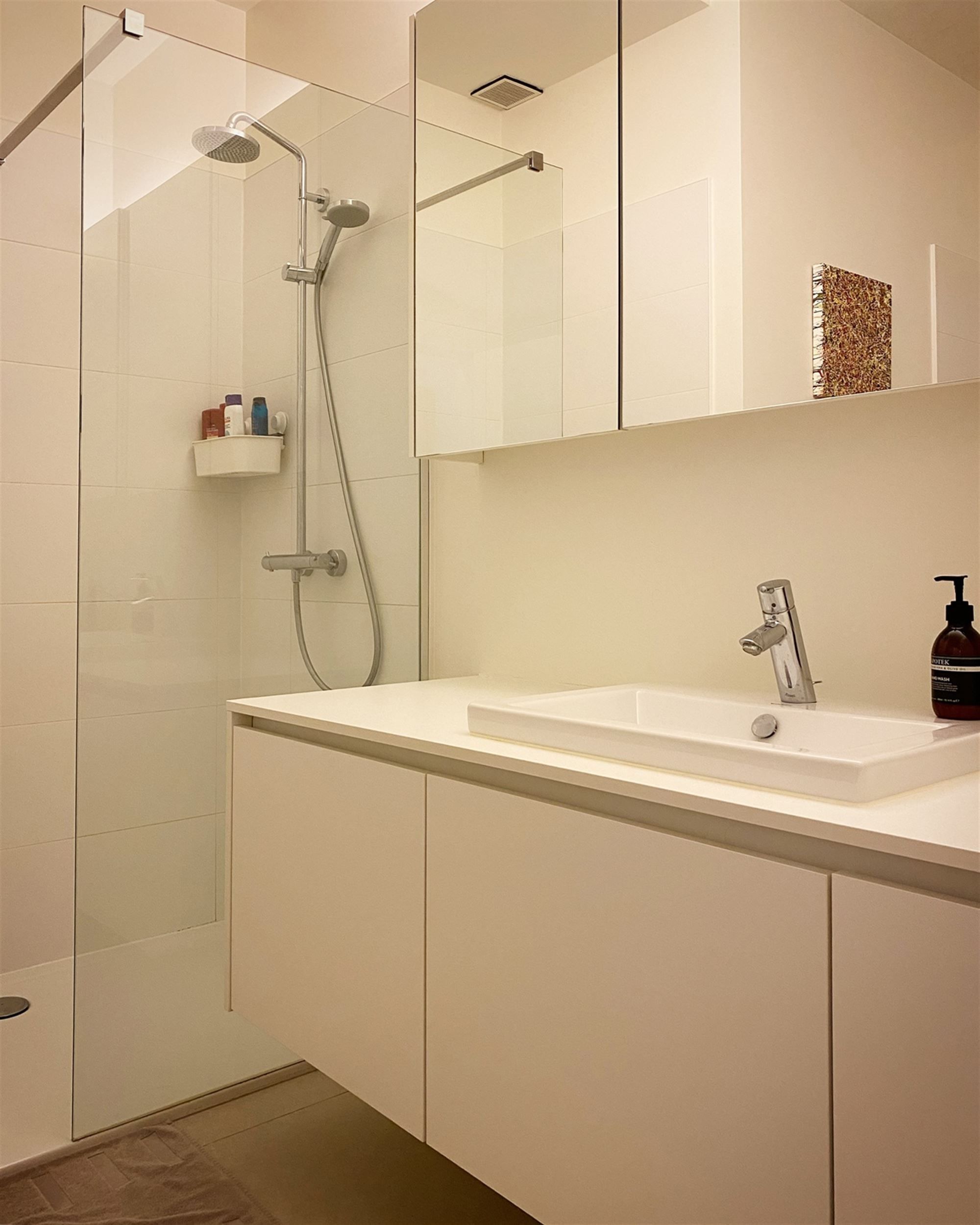 Aangenaam kwalitatief APPARTEMENT (gelijkvloers) met 2 slpks, tuintje/terras, ruime garage (tot 2 wagens) en kelderberging foto 11