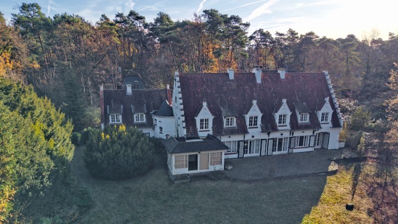 Standingvolle te renoveren villa van 520m² op 53 are foto 6