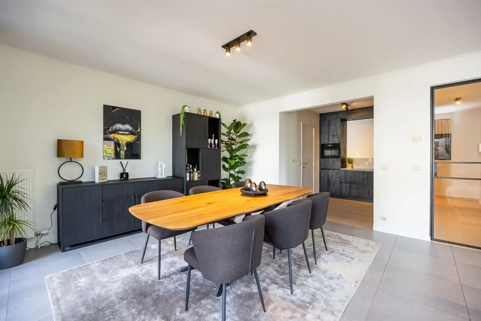 Prachtig appartement met lift, garage nabij 't MAS te Antwerpen  foto 4