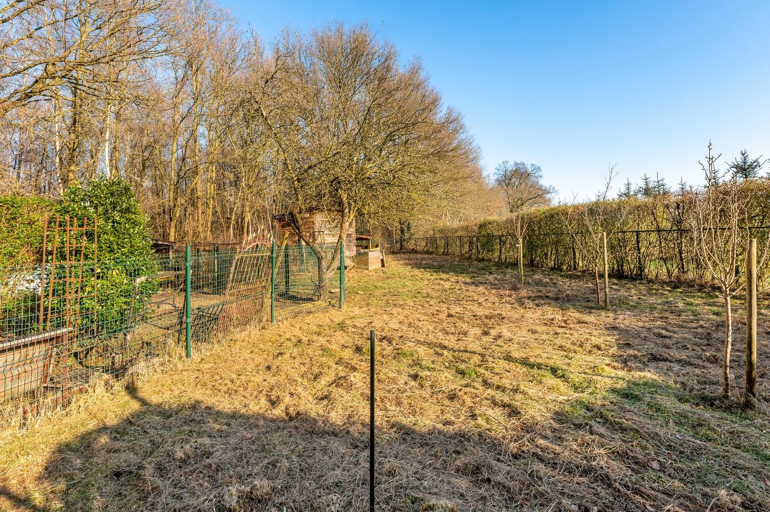 Prachtige hoeve in het groen foto 29