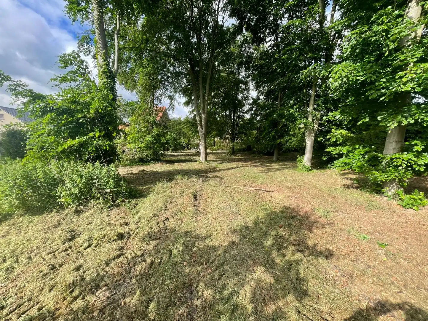 Perceel grond 16a 64ca voor open bebouwing te Drieslinter foto 6