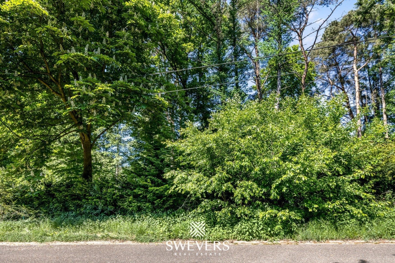 Lot 2 | Royaal perceel tegenover Kasteel foto 22