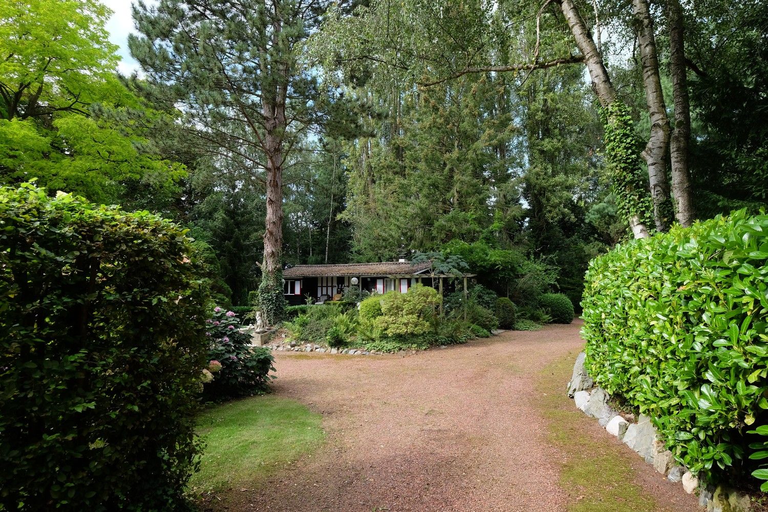 Uniek perceel met een charmante vakantiewoning midden in de natuur omgeven door een uitzonderlijke collectie van prachtige bomen. foto 9