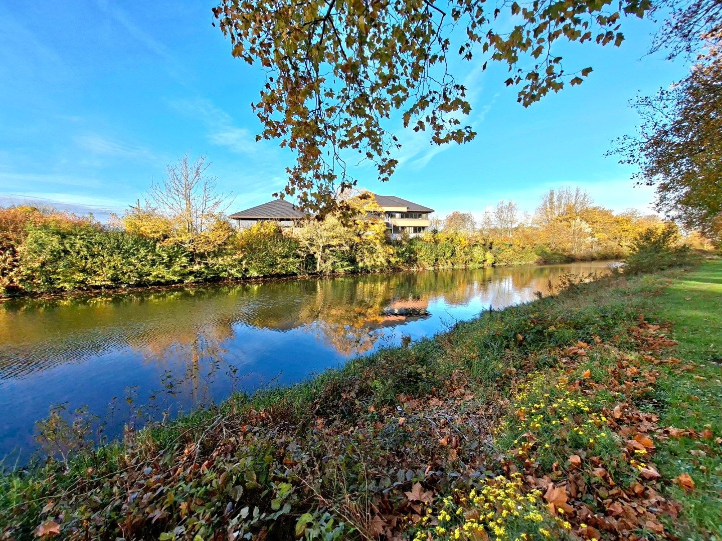 Vernieuwd hoekappartement foto 11