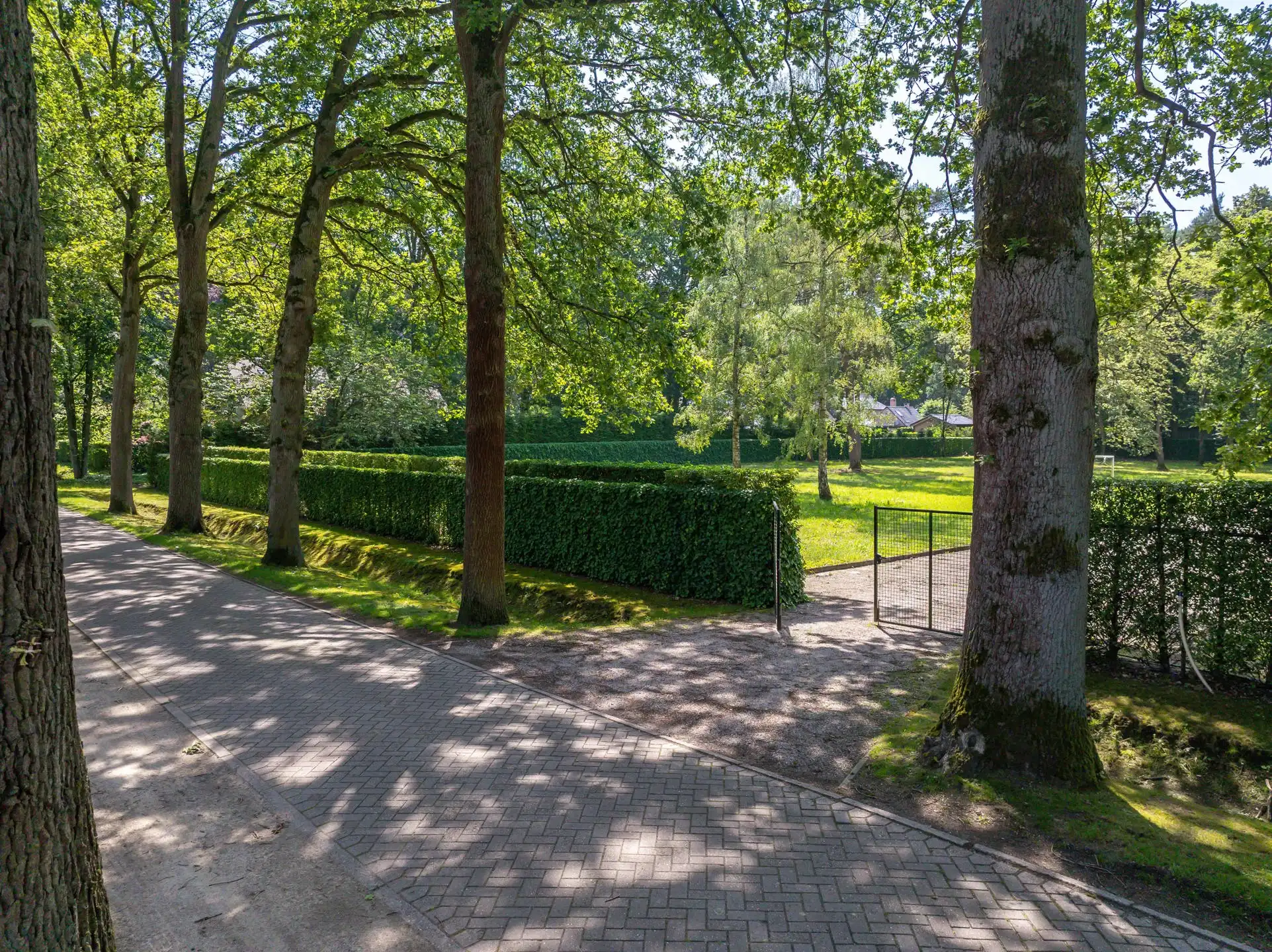  Uitzonderlijke ZW bouwgrond van 4.053 m² op toplocatie! foto {{pictureIndex}}