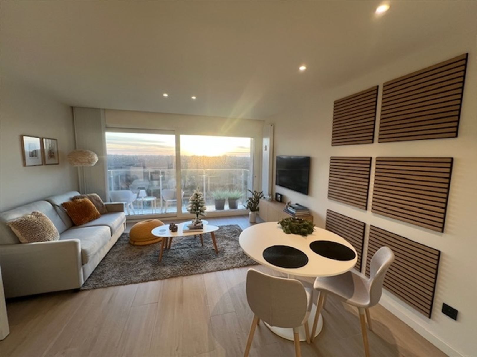 Compleet vernieuwde studio met zicht op duinen zuidgerciht foto 5